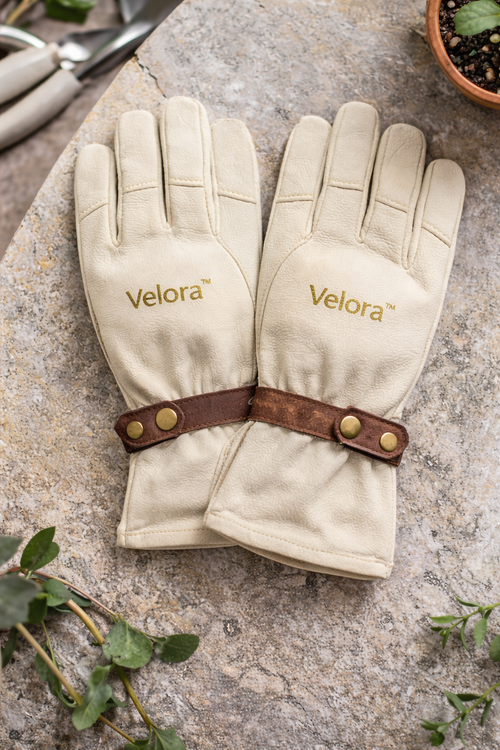 Garden Glove