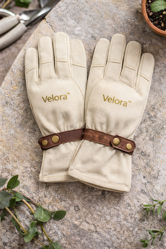 Garden Glove